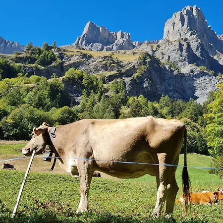 Апартаменты Lady Hamilton *