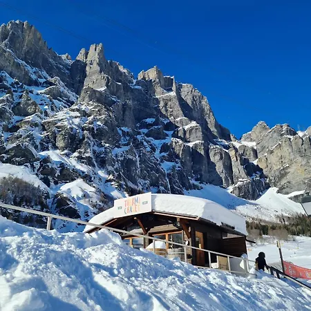 Apartment Lady Hamilton *