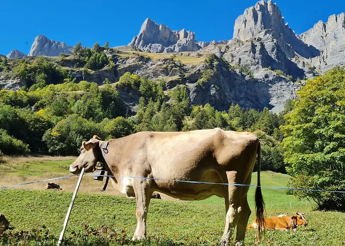 Apartment Lady Hamilton *